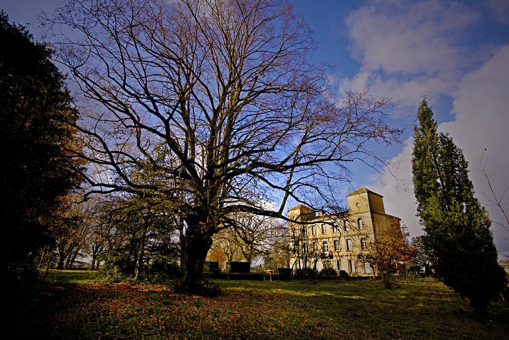 Domaine de la Célarié Mouzieys-Teulet Extérieur photo